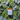 Eucalyptus Mint Room Spray - A'Ola Lux